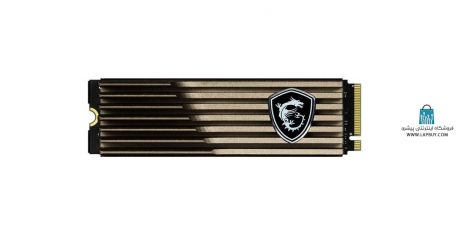 MSi SPATIUM M460 حافظه اس اس دی اینترنال ام اس آی ظرفیت یک ترابایت