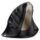 ماوس بی سیم جنیوس مدل Ergo 8250S Champagne