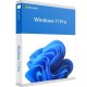 سیستم عامل windows 11 Pro نشر مایکروسافت