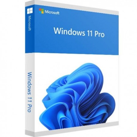 سیستم عامل windows 11 Pro نشر مایکروسافت