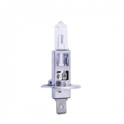 لامپ هالوژن خودرو کد 1143 مدل H1 12V 55W