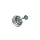 لامپ خودرو پاسیکو مدل P302 H4-60/55W P45T