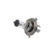 لامپ خودرو پاسیکو مدل P802 H4-55/60W
