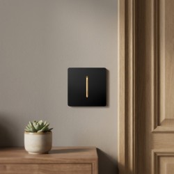 کلید تک پل آسیا مدل کریستال BLK-GLD