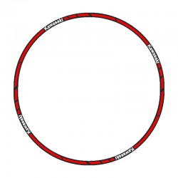 برچسب دور رینگ موتورسیکلت رایسان کد Dm016Kr