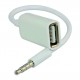 مبدل Aux به USB پی نت مدل 01