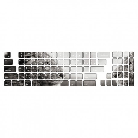 برچسب حروف فارسی کیبورد گراسیپا طرح Lion کد 102