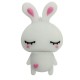 فلش مموری طرح خرگوش ایستاده مدل Ul-rabbit01 ظرفیت 16 گیگابایت