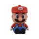 فلش مموری طرح ماریو مدل Ul-Mario01 ظرفیت 32 گیگابایت