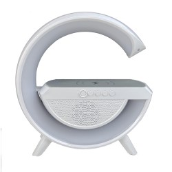 شارژر بی سیم مدل HM-2301