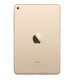 Apple iPad mini4 4G - 16GB تبلت اپل آيپد