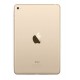 Apple iPad mini 4 WiFi - 16GB تبلت اپل آيپد