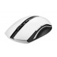 Rapoo 7200P Wireless Optical Mouse ماوس رپو
