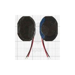Loud Speaker Samsung F250 اسپیکر گوشی موبایل سامسونگ