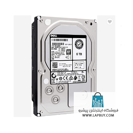 Dell 6TB 7.2K RPM NLSAS 12Gbps 512e 3.5in Drive هارد مخصوص سرور